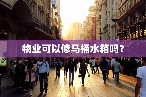 物业可以修马桶水箱吗？