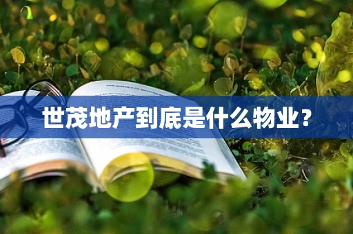 世茂地产到底是什么物业？