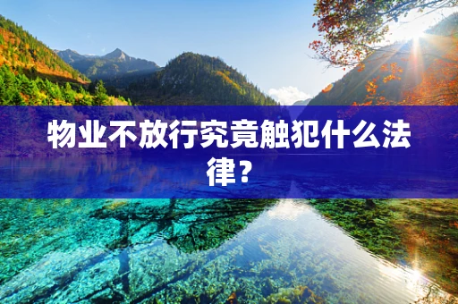 物业不放行究竟触犯什么法律？