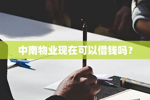 中南物业现在可以借钱吗？