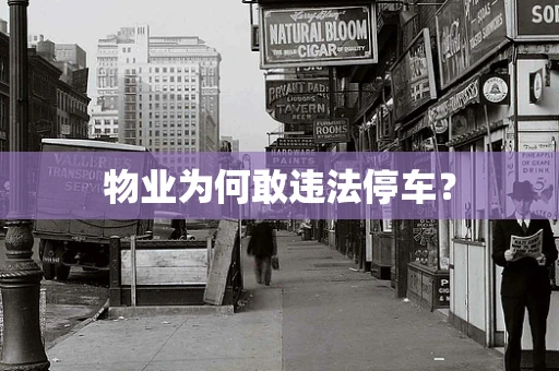 物业为何敢违法停车？