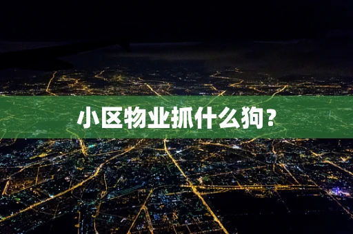 小区物业抓什么狗？