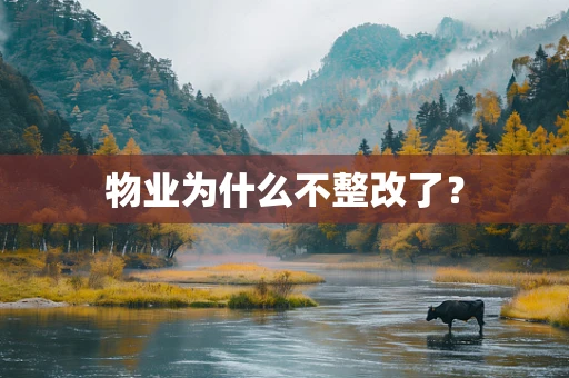 物业为什么不整改了？