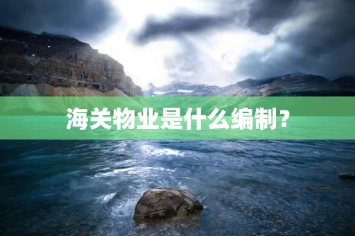 海关物业是什么编制？