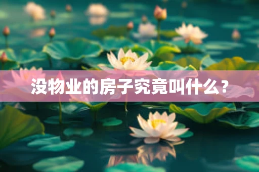 没物业的房子究竟叫什么？