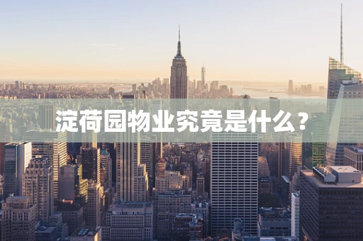 淀荷园物业究竟是什么？