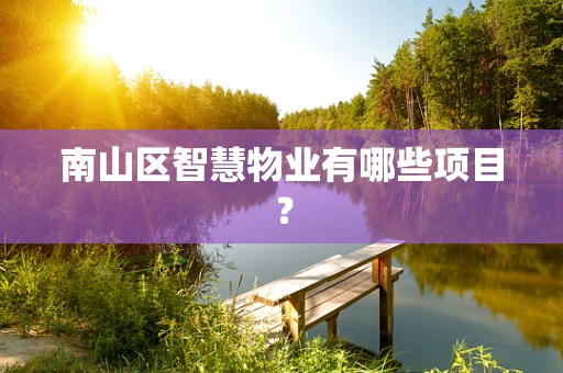 南山区智慧物业有哪些项目？