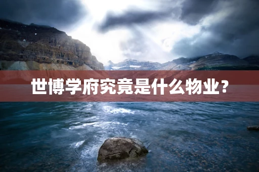 世博学府究竟是什么物业？
