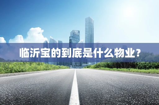 临沂宝的到底是什么物业？