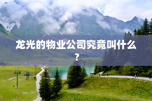 龙光的物业公司究竟叫什么？