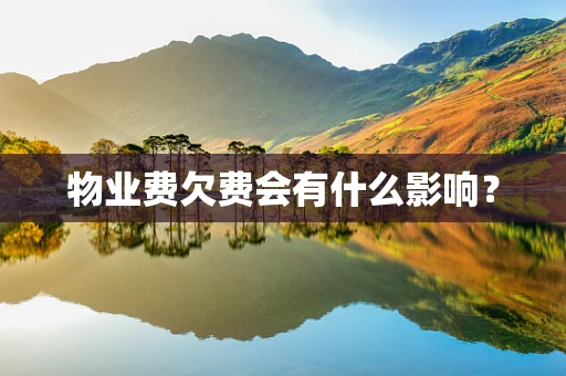 物业费欠费会有什么影响？