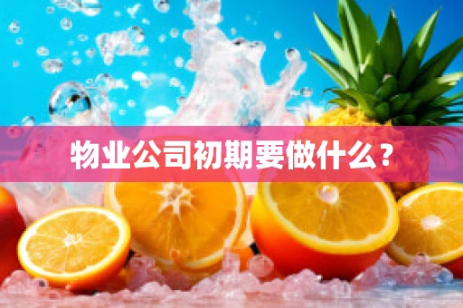 物业公司初期要做什么？
