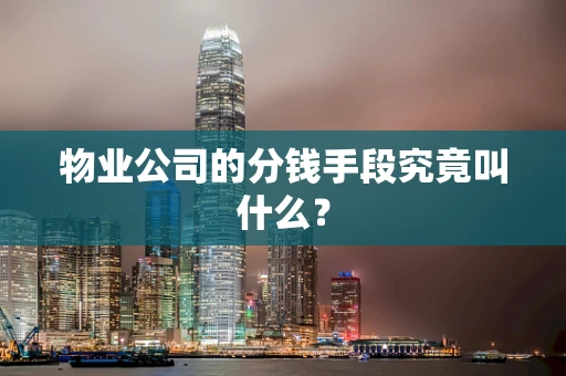 物业公司的分钱手段究竟叫什么？