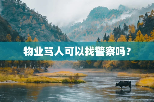 物业骂人可以找警察吗？