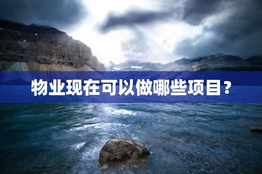 物业现在可以做哪些项目？