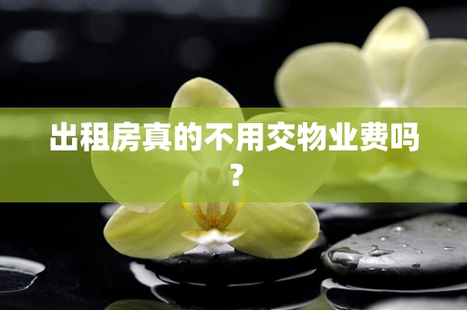 出租房真的不用交物业费吗？
