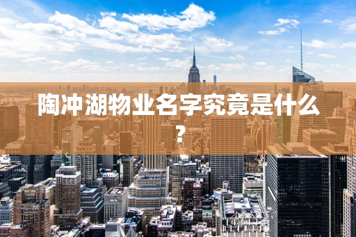 陶冲湖物业名字究竟是什么？