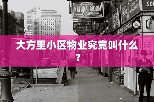 大方里小区物业究竟叫什么？