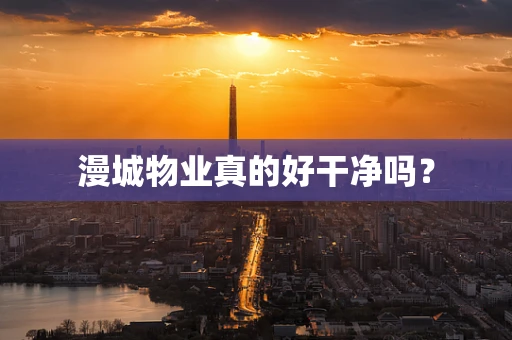 漫城物业真的好干净吗？