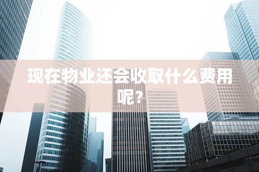 现在物业还会收取什么费用呢？