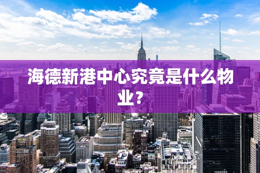 海德新港中心究竟是什么物业？