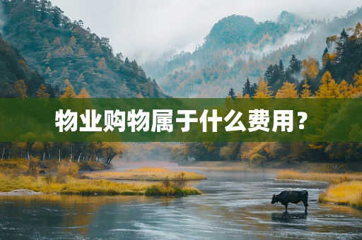 物业购物属于什么费用？