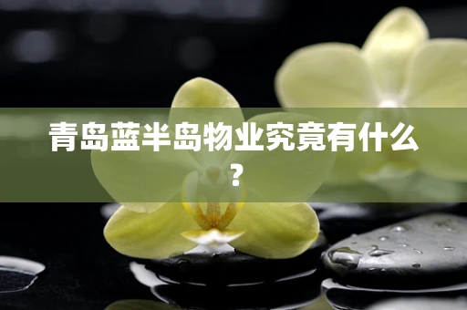 青岛蓝半岛物业究竟有什么？