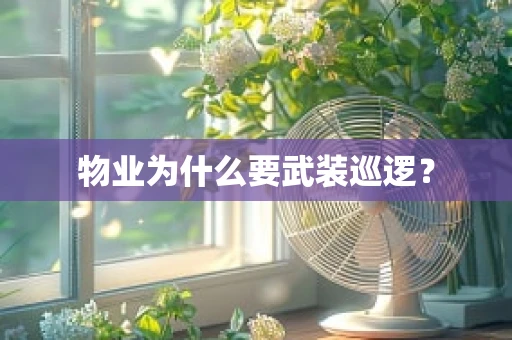 物业为什么要武装巡逻？