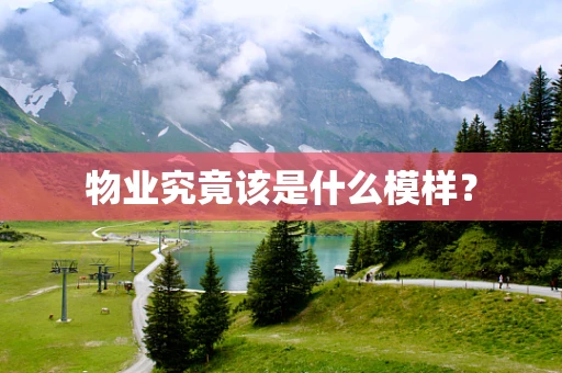 物业究竟该是什么模样？
