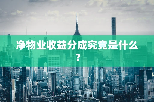 净物业收益分成究竟是什么？