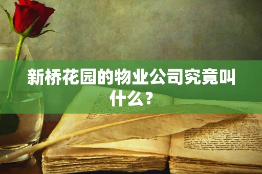 新桥花园的物业公司究竟叫什么？