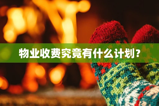 物业收费究竟有什么计划？