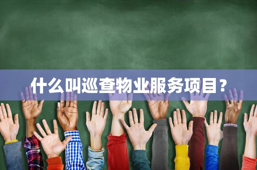 什么叫巡查物业服务项目？