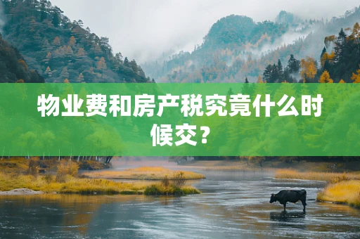 物业费和房产税究竟什么时候交？