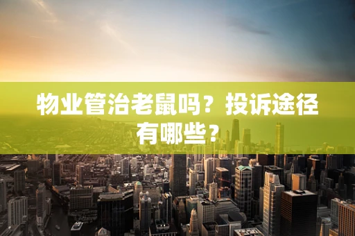 物业管治老鼠吗？投诉途径有哪些？