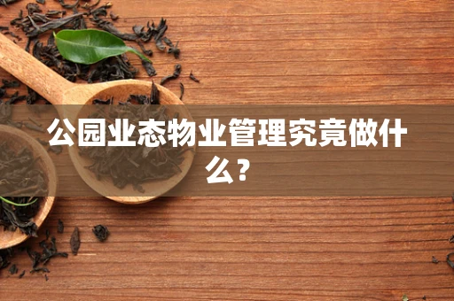 公园业态物业管理究竟做什么？