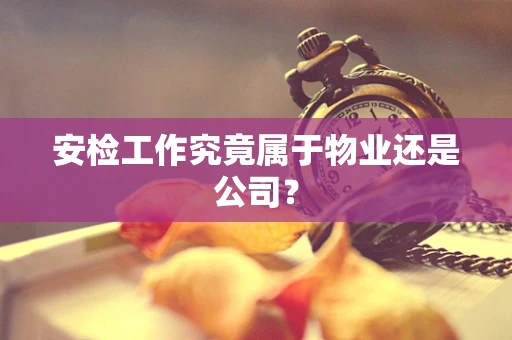 安检工作究竟属于物业还是公司？