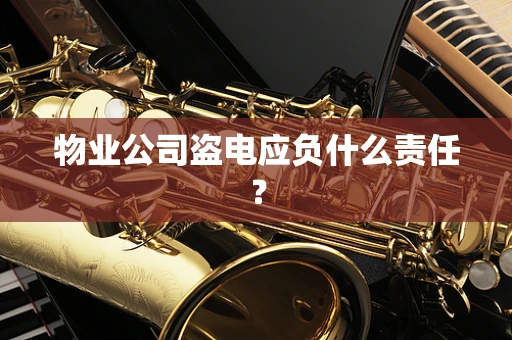 物业公司盗电应负什么责任？