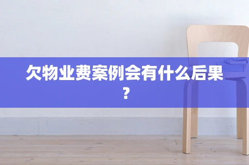 欠物业费案例会有什么后果？