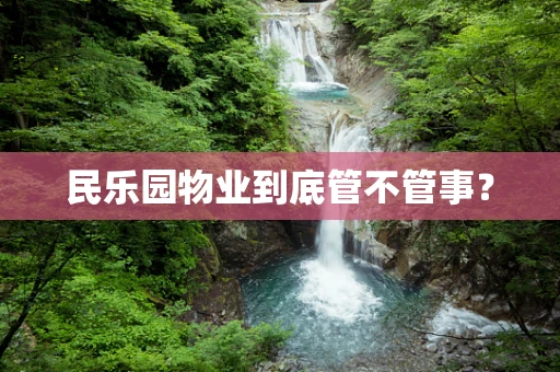 民乐园物业到底管不管事？