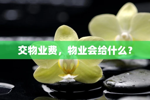 交物业费，物业会给什么？