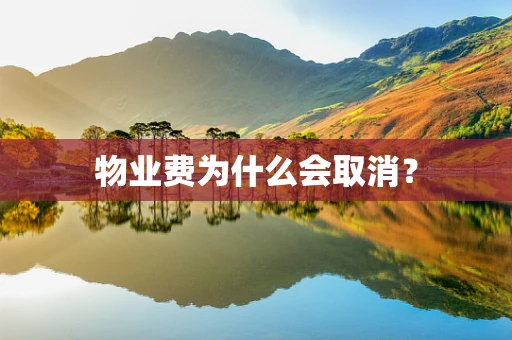物业费为什么会取消？