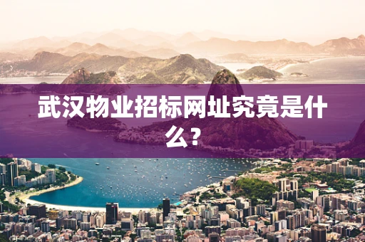 武汉物业招标网址究竟是什么？