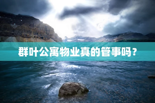 群叶公寓物业真的管事吗？
