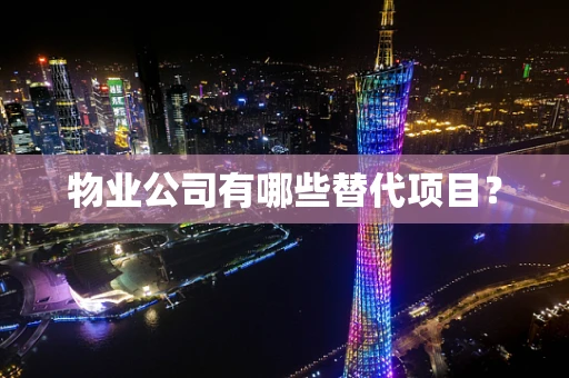 物业公司有哪些替代项目？