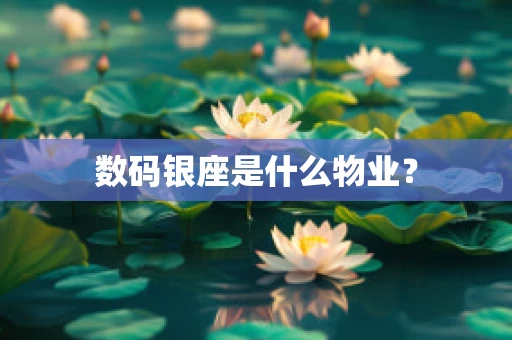 数码银座是什么物业？