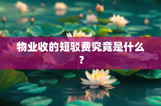 物业收的短驳费究竟是什么？