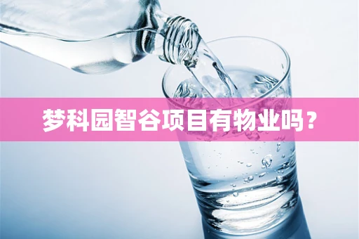 梦科园智谷项目有物业吗？