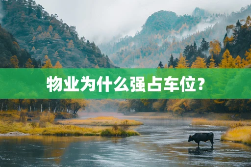 物业为什么强占车位？