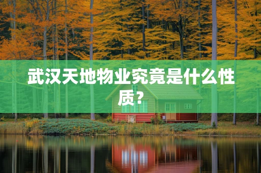 武汉天地物业究竟是什么性质？